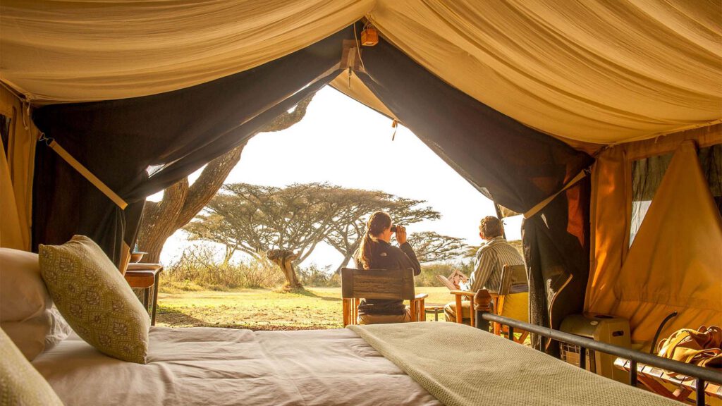 Honeymoon_safari