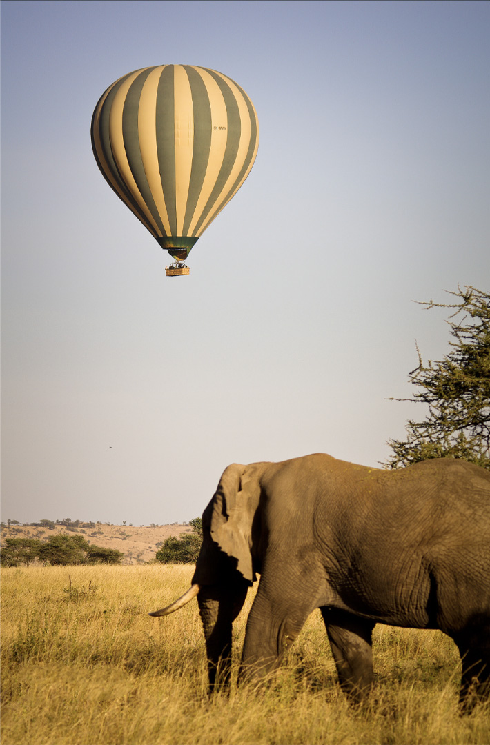 Serengeti_balloon_safari